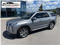 2020 Hyundai Palisade Luxury for sale 2020
Hyundai
Palisade Luxury