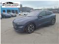 2021 Ford Mustang Mach-E Premium for sale 2021
Ford
Mustang Mach-E Premium
